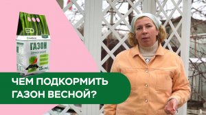 🌱 Чем подкормить газон весной?