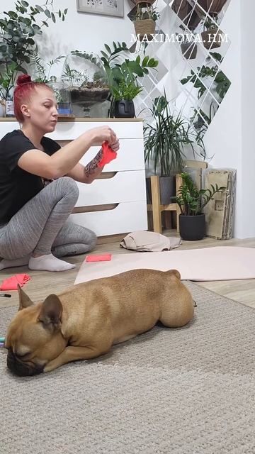 Как я впервые в жизни шила двустороннюю олимпийку 😁 #d смотреть онлайн