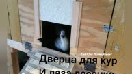 Что должно быть в стайке у кур