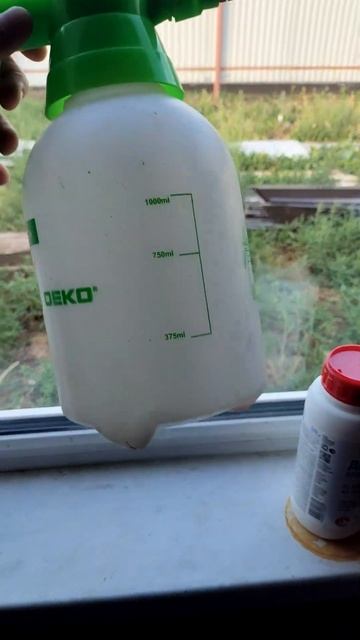 Избавляемся от сорняков на участке #дача #частныйдом # смотреть онлайн