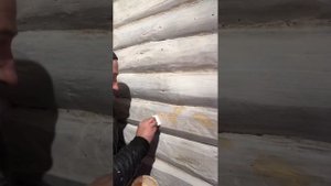 Шпаклюем старые бревна. #ремонт #стройка #шпаклёвка #да