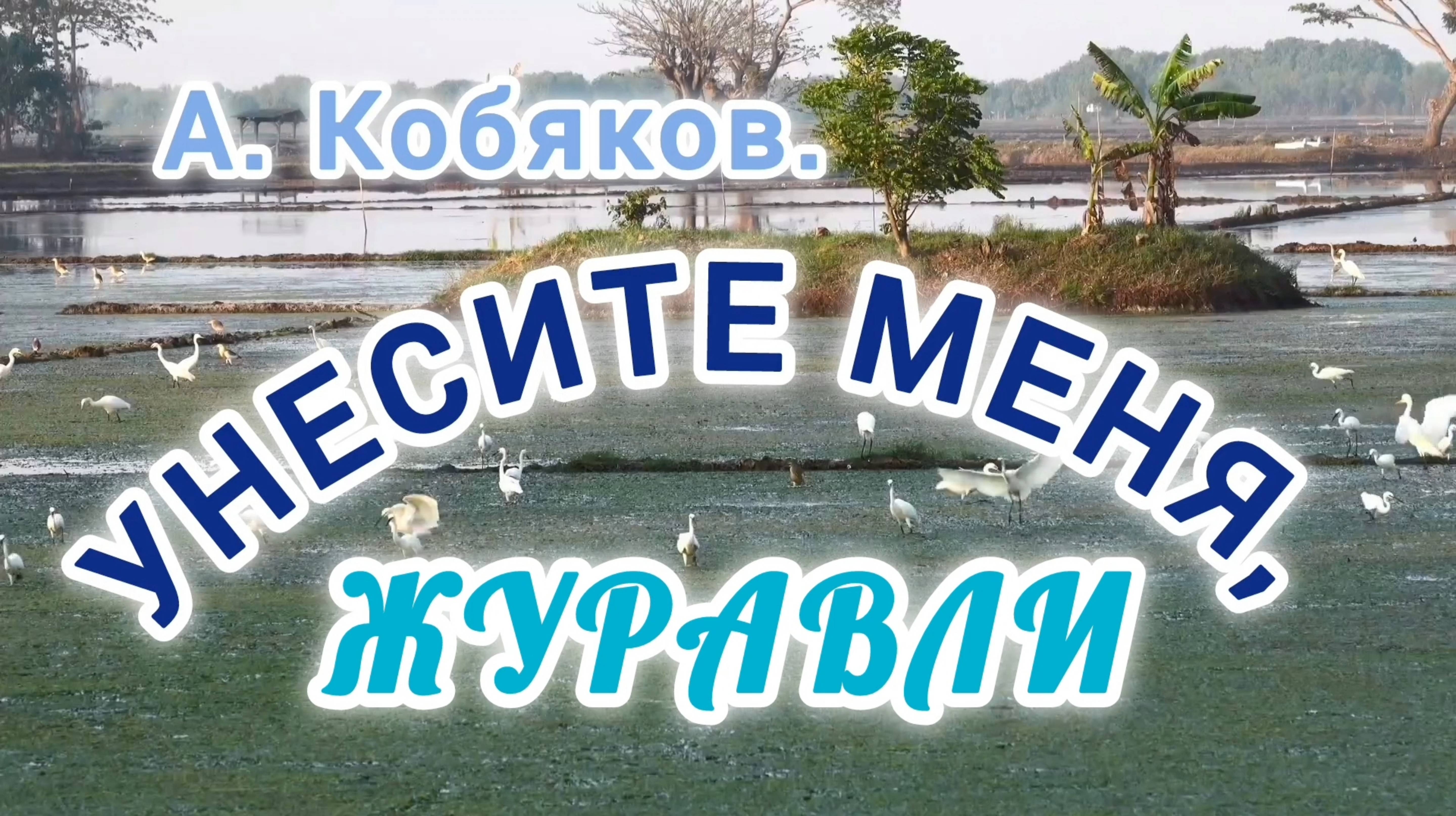 УНЕСИТЕ МЕНЯ, ЖУРАВЛИ, ОТ ПЕЧАЛИ И БОЛИ!