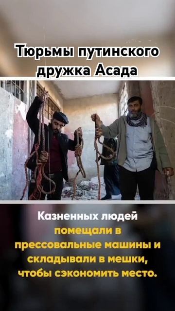 Это вы ещё подвалы Лубянки не видели #сирия #асад #тюрь? смотреть онлайн