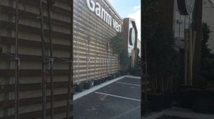 очень  большие деревья в  огромных горшках  высотой  3  ?