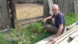 Как убрать траву без триммера // Лайфхак для дома