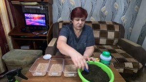 Вы уже сажайте картофель? Я ДА!! Как вырастить Картофел