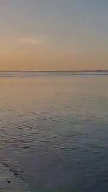 Кучугуры Азовское море ⛵⛵⛵ гостевой дом 🏡 Золотые ? смотреть онлайн