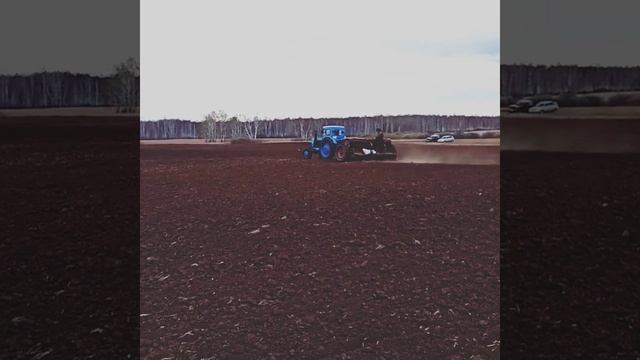 Посевная 2021. Трактор Т-40АМ. часть2 смотреть онлайн