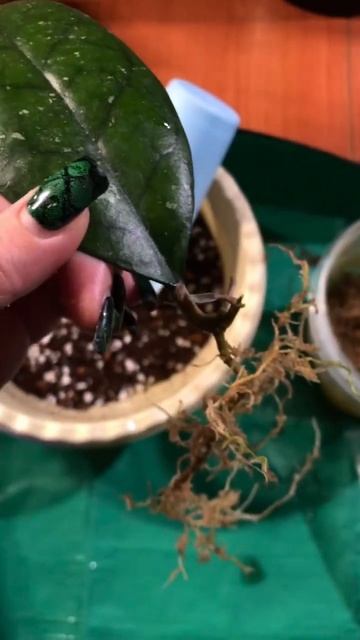 Так делать не стоит 🫠 Пара сантиметров — и в нормальн смотреть онлайн