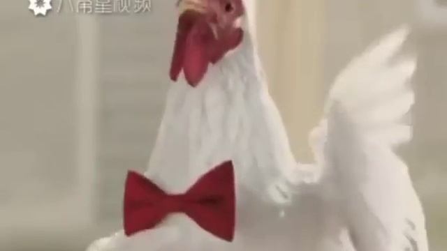 Лайк за курицу пожалуйста смотреть онлайн