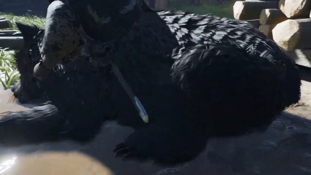 :) Ghost of Tsushima. Чудеса биоинженерии или минотавр по японски (баги)