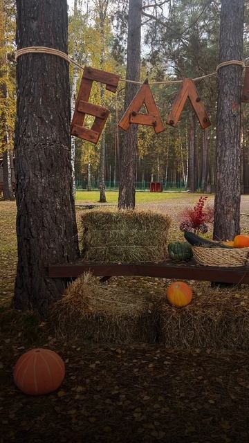 Применяйте рецепт от хандры #базаотдыха #базаотдыхаКр смотреть онлайн