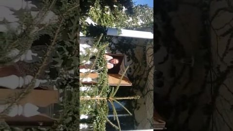 Солнечногорское