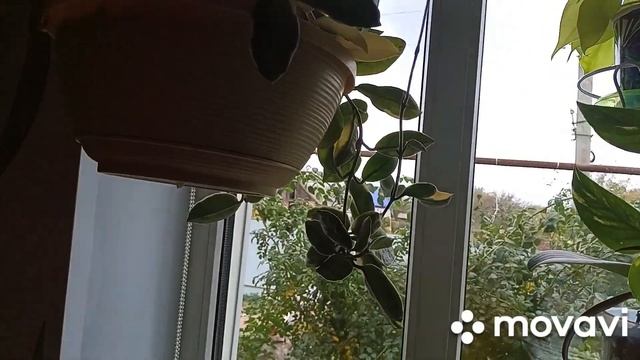 8 сентября заказ на Валбересе,отличная опора.Вересков? смотреть онлайн