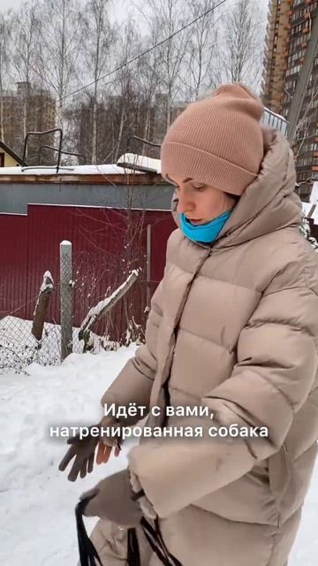 Рулетка или поводок? Вот главная причина почему повод?