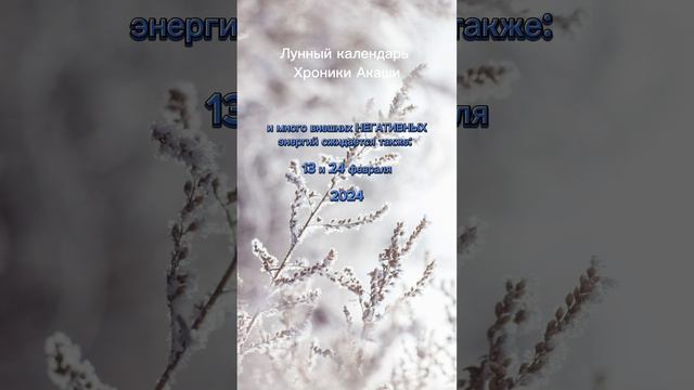 ФЕВРАЛЬ 2024 - лучшие дни 🌟 смотреть онлайн