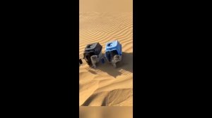 Приколы с животными