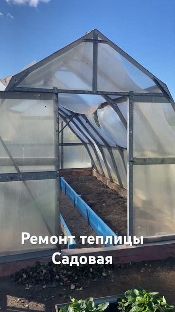 Ремонт теплицы «Садовая» #ремонттеплицы #теплица #теп?