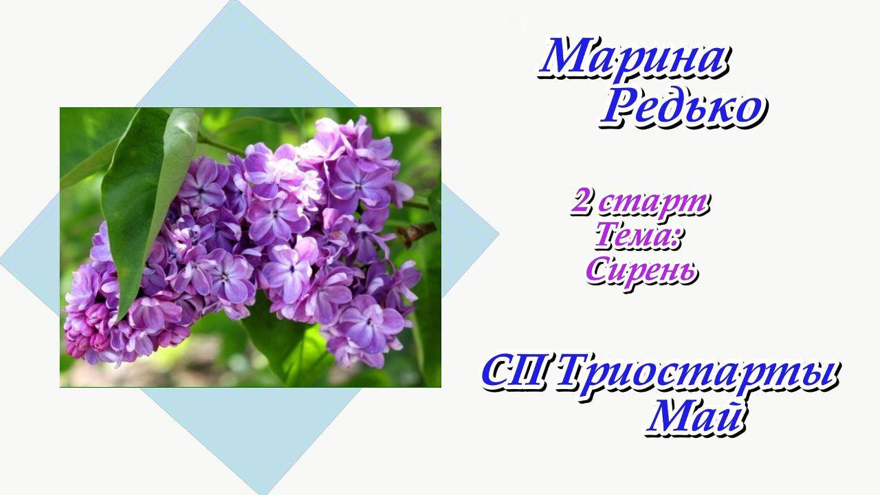 СП "Триостарты" Май / 2 старт