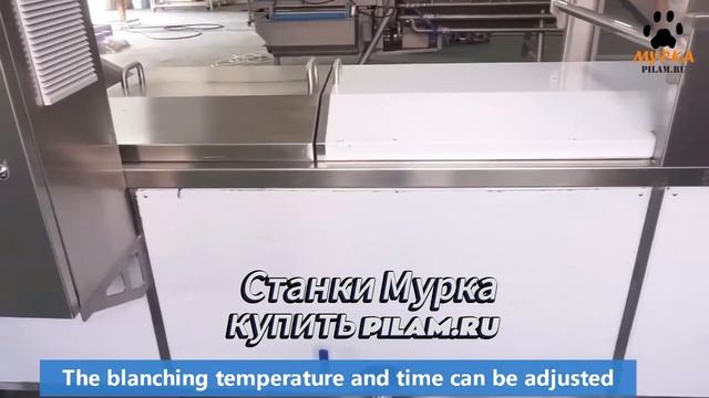 Мурка пищевая промышленность станок для бланшировани