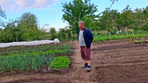 464 🏠 Купили дом в станице. Сердце болит но мы стараемся!