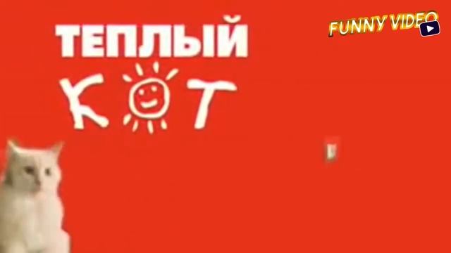 Funny Video / подборка приколов #1 смотреть онлайн