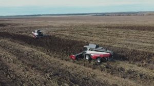 Уборка урожая на современном Комбайне RSM 161