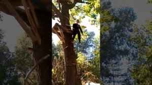 дом на дереве. ХА ХА