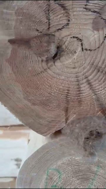 Сборка сруба на участке клиента. смотреть онлайн