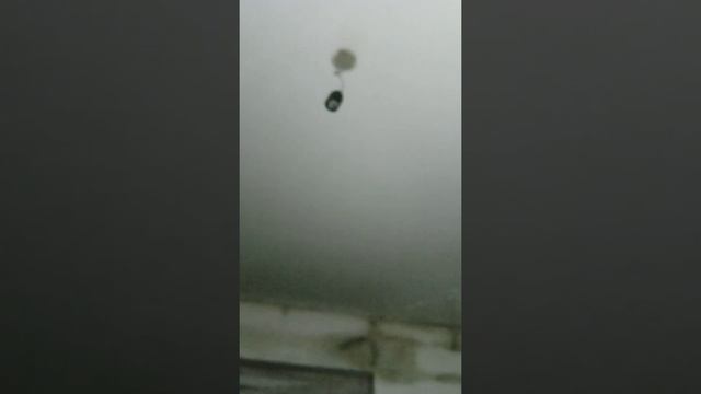 Павлодар облысы май ауданы Көктөбе ауылы 2021-жылы салынған жаңа үйлер