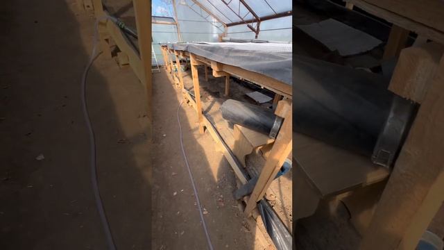 Автоматизация полива рассады. Какие у вас идеи, пишите смотреть онлайн