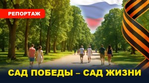 САД ПОБЕДЫ / 27 млн деревьев в память о павших героях ВОВ