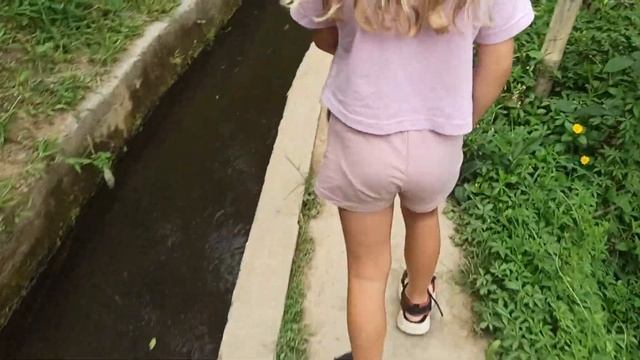 рисовые террасы Бали смотреть онлайн