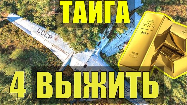 ОДИН В ТАЙГЕ ВЫЖИВАНИЕ ЗОЛОТО НА БОРТУ В ПОИСКАХ ЕДЫ К? смотреть онлайн