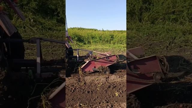 Копаем Картошку #подпишись тюменская область смотреть онлайн