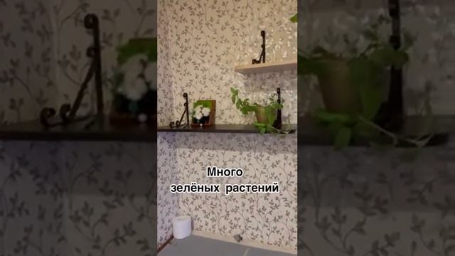 Дом с баней в Кирове