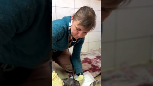 Доброе утро, друзья 🤗 смотреть онлайн