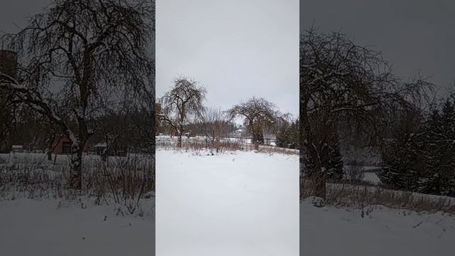 БЕЛАРУСЬ НАКРЫЛО СНЕГОМ. Ноябрь 2023, Теплицы. Надо их чи смотреть онлайн