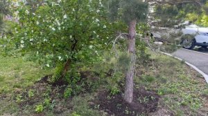Оренбург Автомобилистов 2/2