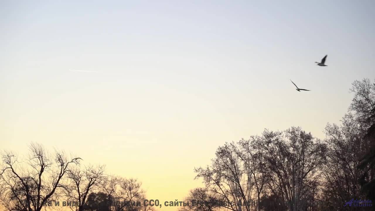 Песня, которая звучит как обещание вечной любви... - Dream Sunlight -- Nihilore -- Best of 2020-2024