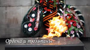 Ордена и тюльпаны