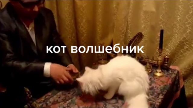 Да будут труды мои во славу Божию и на пользу ближним моим. Молитва Пресвятой Богородице о матер