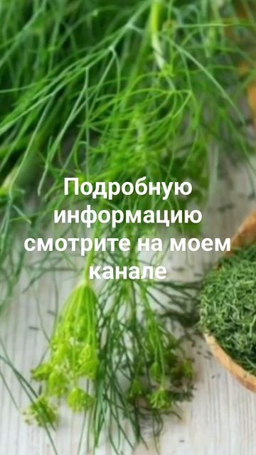 #польза и вред укропа #здоровье #здоровоепитание смотреть онлайн