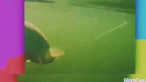 Язь REMIX (FANTOM 360)