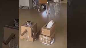 Когда первый день за рулём 🤣