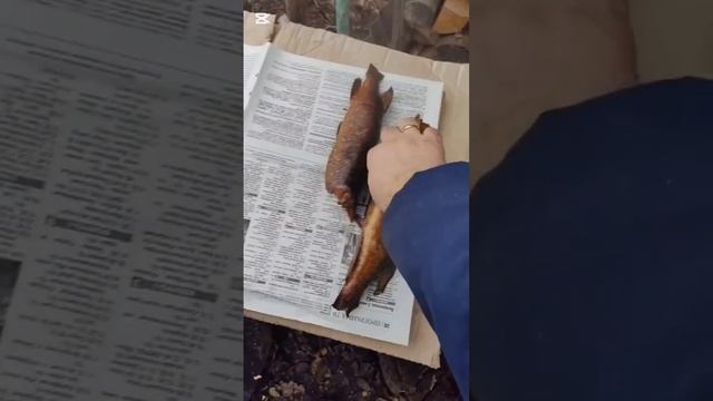 щука горячего копчения 2 смотреть онлайн