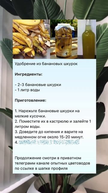 СУПЕР УДОБРЕНИЯ ИЗ БАНАНОВ! #растения смотреть онлайн