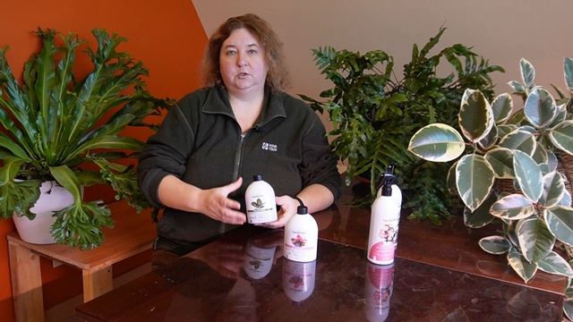 Как правильно подкармливать декоративно-лиственные р смотреть онлайн