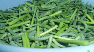 Маринованные чесночные стрелки на зиму