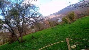 без совместные соседи "загородили"забор